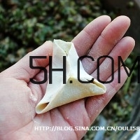 怎么包餃子快又好看？十種家常包餃子的方法~