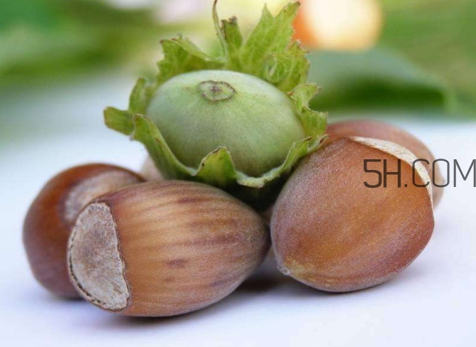 榛子生吃好還是熟吃好？榛子怎么吃營養(yǎng)價值高？