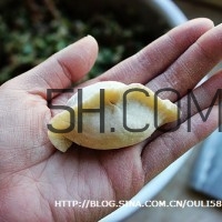 餃子和面用熱水還是冷水？餃子和面要醒多長時間？
