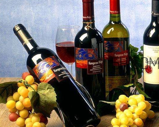 小孩能不能喝葡萄酒？高血糖能不能喝葡萄酒
