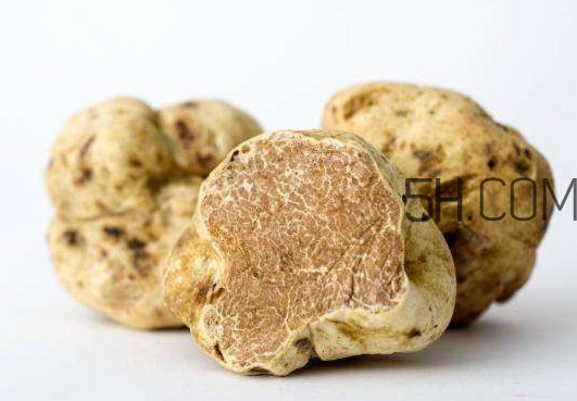 松露怎么分辨真假？松露怎么清洗