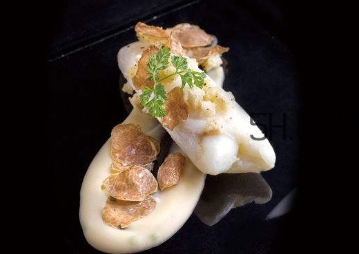 白松露是什么？白松露的功效與作用