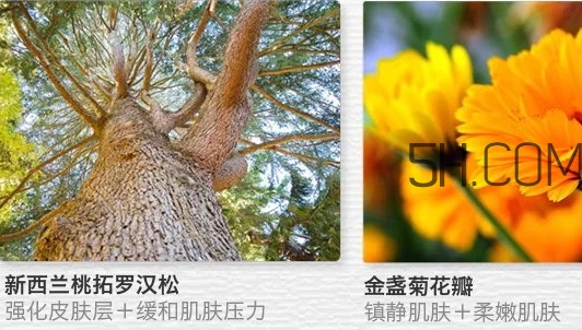 the saem得鮮眼霜適合什么年齡？得鮮眼霜怎么樣？