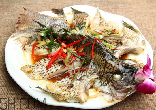沒有魚刺的魚是哪種魚？如何挑選魚？