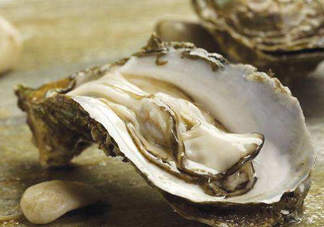 海蠣子是生蠔嗎？海蠣子和生蠔的區(qū)別