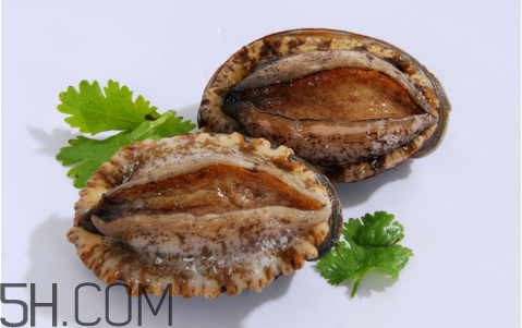 鮑魚吃了會(huì)上火嗎？鮑魚是發(fā)物嗎？