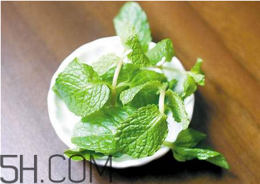 感冒可以喝酒嗎？薄荷治療感冒的方法