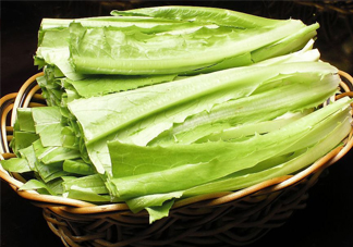 西紅柿和油麥菜能一起吃嗎？油麥菜能包餃子嗎