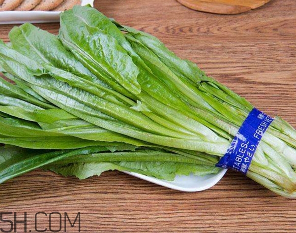 油麥菜可以隔夜嗎？油麥菜可以涮火鍋嗎