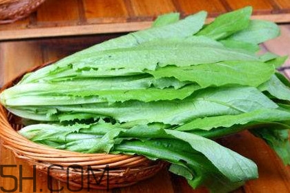 油麥菜是轉(zhuǎn)基因蔬菜嗎？油麥菜是發(fā)物嗎