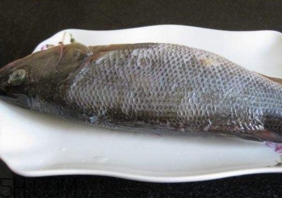 鮭魚(yú)是三文魚(yú)嗎？鮭魚(yú)的營(yíng)養(yǎng)價(jià)值