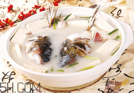 手術(shù)后可以吃胖頭魚(yú)嗎？胖頭魚(yú)不能和什么一起吃