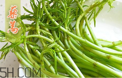 藜蒿什么季節(jié)有？藜蒿是發(fā)物嗎
