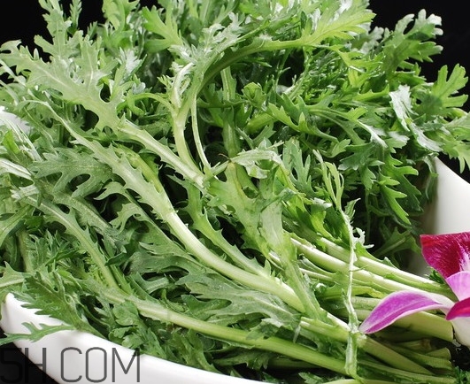 皇帝菜是什么樣子？皇帝菜又叫什么菜