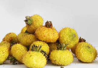 刺梨能降血壓嗎？刺梨是哪里的特產(chǎn)