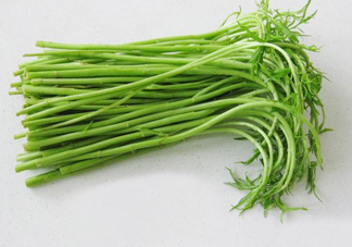 藜蒿多少錢一斤？藜蒿和蘆蒿是同一種菜嗎？