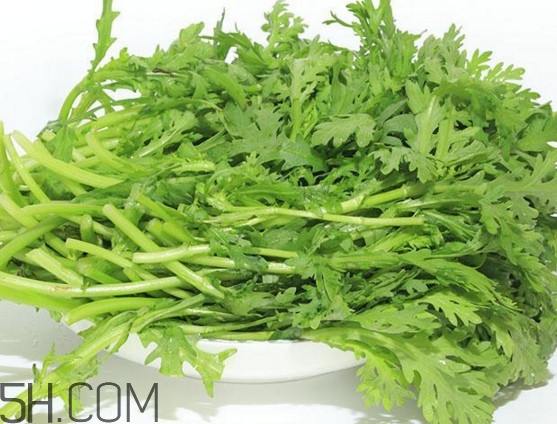 皇帝菜與什么煲湯好吃？皇帝菜性寒嗎