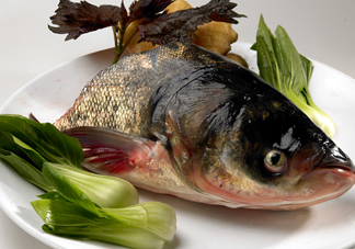 胖頭魚吃什么？胖頭魚怎么殺