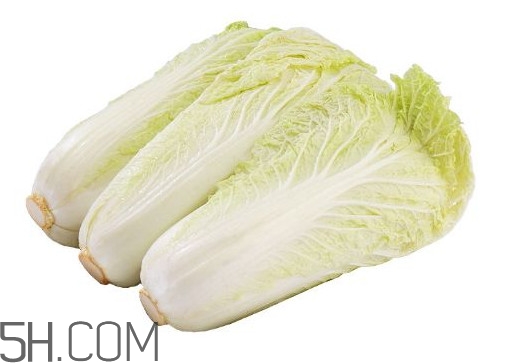 娃娃菜熱量是多少？娃娃菜為什么叫娃娃菜