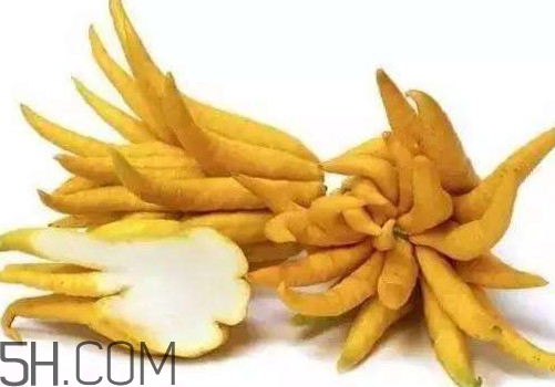 佛手柑是佛手瓜嗎？佛手柑和佛手瓜的區(qū)別