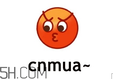 cnmua是什么意思？cnmua無(wú)水印表情包