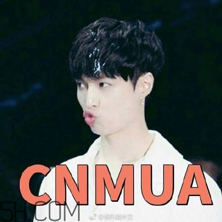 cnmua是什么意思？cnmua無(wú)水印表情包
