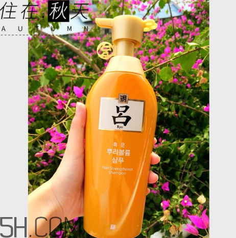 黃呂洗發(fā)水怎么樣？黃呂洗發(fā)水適合人群