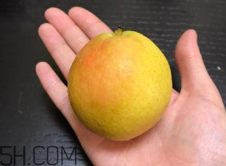 南果梨是發(fā)物嗎？南果梨是酸性還是堿性