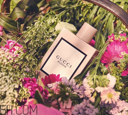 gucci bloom香水好聞嗎？gucci bloom香水香評(píng)