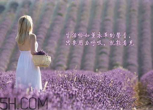 香柏樹薰衣草敏感修復(fù)乳液怎么樣？多少錢？
