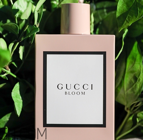 gucci bloom香水多少錢？gucci bloom香水專柜價格