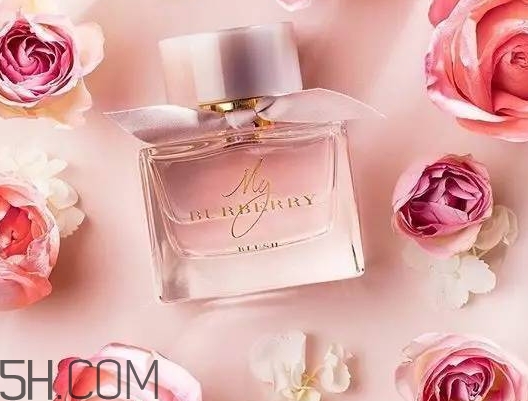 my burberry blush香水怎么樣？my burberry blush好聞嗎？