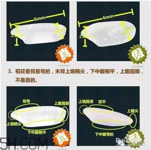 五常大米怎么辨別真假？五常大米和普通米的區(qū)別