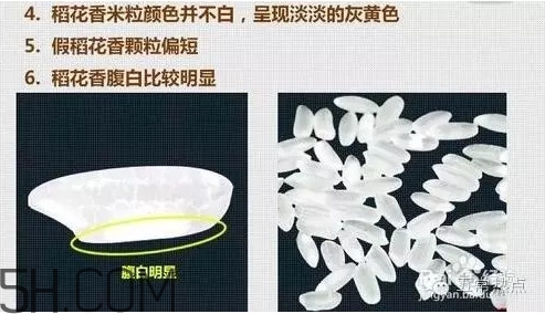 五常大米怎么辨別真假？五常大米和普通米的區(qū)別