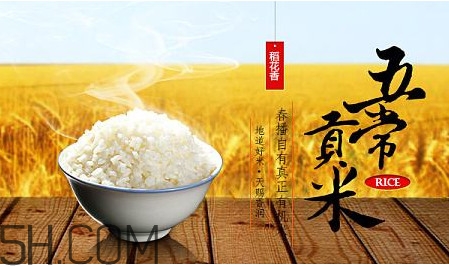 五常大米什么時候種植？五常大米是什么品種
