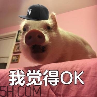 ojbk是什么意思？ojbk表情包