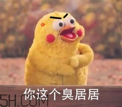你個臭居居什么意思？你個臭居居表情包