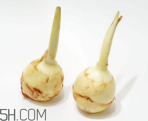 多吃慈菇有什么好處和害處？慈菇怎么保存