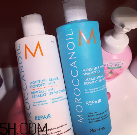 moroccanoil摩洛哥油洗發(fā)水怎么樣？摩洛哥油洗發(fā)水適合發(fā)質(zhì)