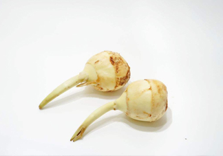 慈菇是發(fā)物嗎？慈菇是馬蹄嗎