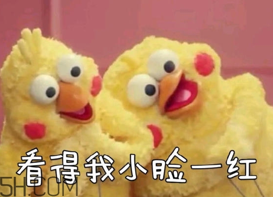 你們都是臭襪子什么意思？你們都是臭襪子表情包