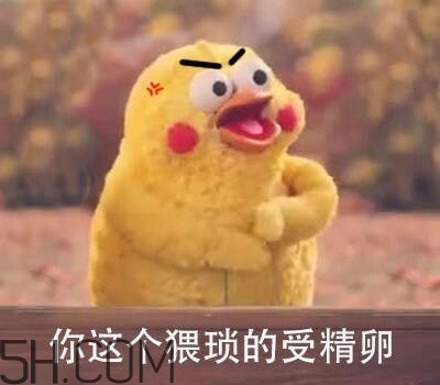 你這個猥瑣的受精卵是什么意思？你這個猥瑣的受精卵表情包