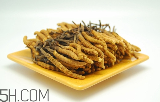冬蟲(chóng)夏草可以人工種植嗎？冬蟲(chóng)夏草可不可以放在冰箱里