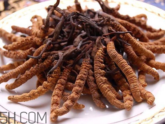 冬蟲(chóng)夏草可以人工種植嗎？冬蟲(chóng)夏草可不可以放在冰箱里