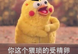 你這個猥瑣的受精卵是什么意思？你這個猥瑣的受精卵表情包