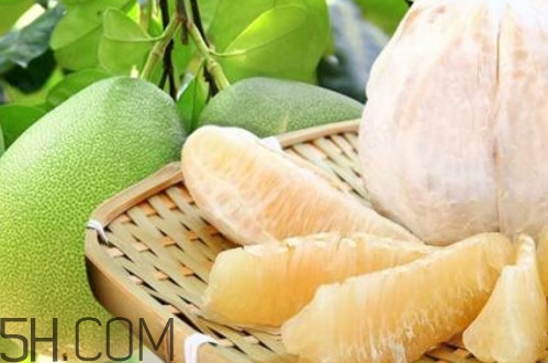 文旦柚多少錢一斤？文旦柚是寒性食物嗎