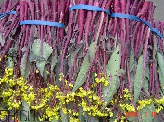 洪山菜苔多少錢(qián)一斤？紅菜苔多少錢(qián)一斤