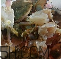 海虹蟹怎么做好吃？海紅蟹的做法