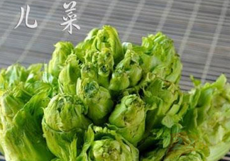青菜頭是不是兒菜？大頭菜和兒菜的區(qū)別