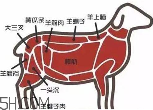 涮羊肉哪個(gè)部位最好吃？涮羊肉都有什么菜？
